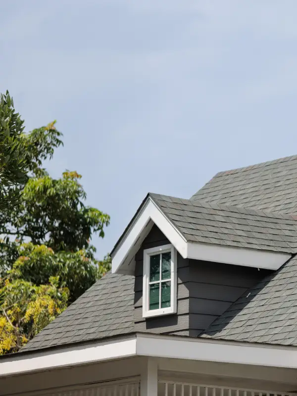 Professional Roofing Services